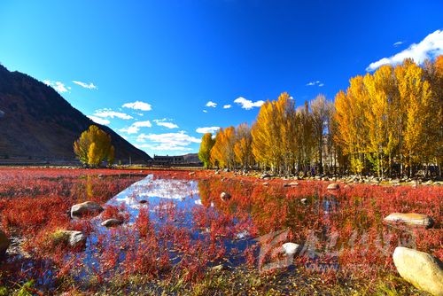 【2017年冬季四川甘孜州值得去的景點(diǎn)有哪些】冬季甘孜州旅游必去地點(diǎn) 【2017年冬季四川甘孜州值得去的景點(diǎn)有哪些】冬季甘孜州旅游必去地點(diǎn)
