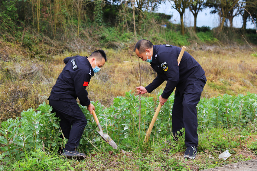 圖為植樹.jpg 圖為植樹.jpg