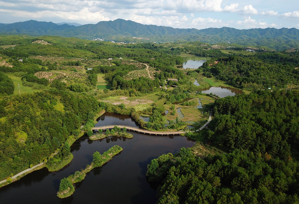 福建省龍巖市長汀縣的長汀汀江國家濕地公園景色（2020年7月28日攝，無人機照片）。新華社記者 魏培全 攝